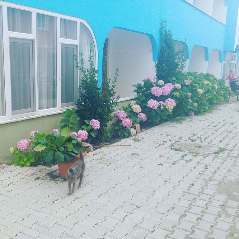 Türkeli Ada Motel المظهر الخارجي الصورة